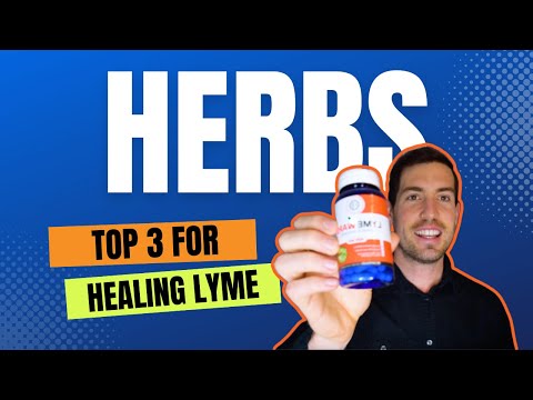 Lyme Disease Herbs - Top 3 Herbs + Reason Why