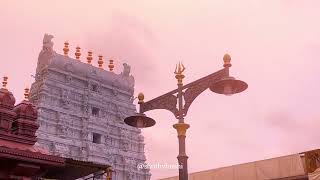 Temple video