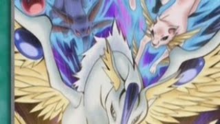 Brilliant Fusion is the Golden Rule . Crystal Beast combo