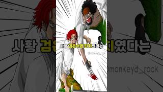 원피스에 남아있는 역대급 떡밥 TOP 2