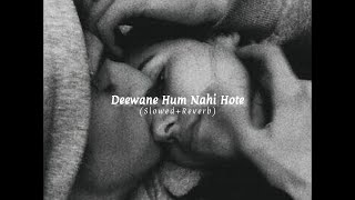 Deewane Hum Nahi Hote (Slowed + Reverbed) - | TikTok Version | Aditiya Yadav | sLow 🎵