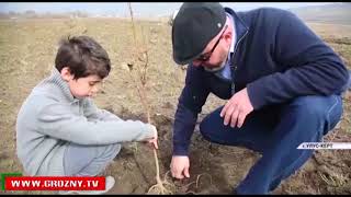 Чеченец приехал из Норвегии, чтобы вести свое собственное дело на родине   