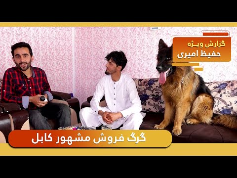 Kabul’s famous dog seller in Hafiz Amiri report / گرگ فروش مشهور کابل در گزارش حفیظ امیری