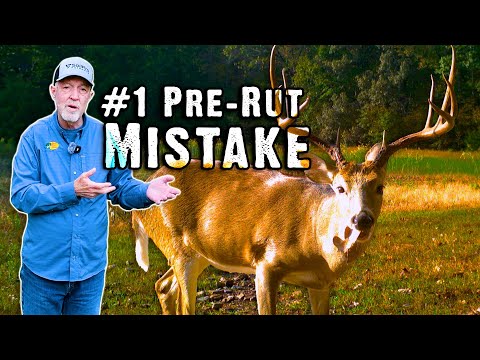 The #1 Mistake Hunters Make During the Pre-Rut (and How to Fix It)
