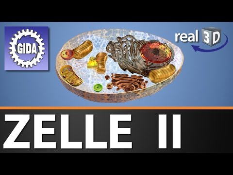 Trailer - Zelle II - Biologie - 3D Software
