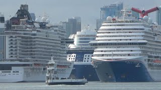 Celebrity Beyond Joins the Parade in Miami!