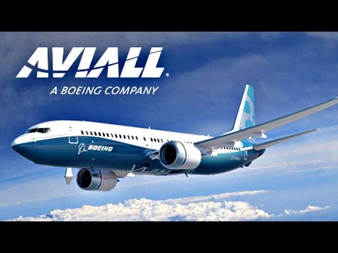 Aviall - Customer Success Story (Charlie Elkins  - Senior Managing Director of Marketing)