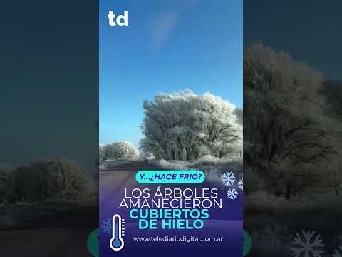 🥶❄️ Una mañana de frío extremo dejó una de las postales más impactantes del invierno argentino.