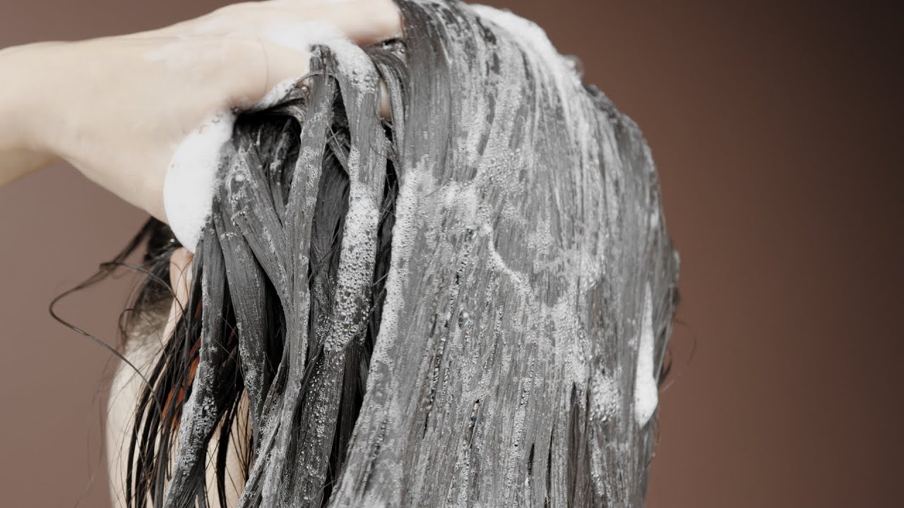 Meet Tree 히노키 헤어케어 라인