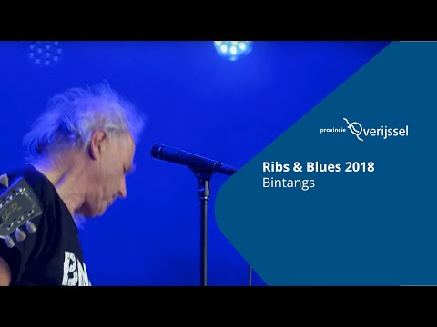 Ribs & Blues 2018 - Bintangs (live)