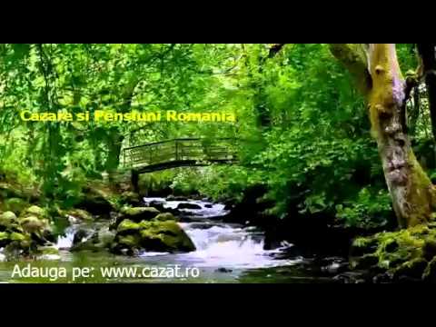 Cazare Fratesti, Arges - Cazat.ro