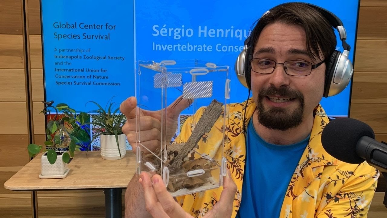 Thumbnail of the video