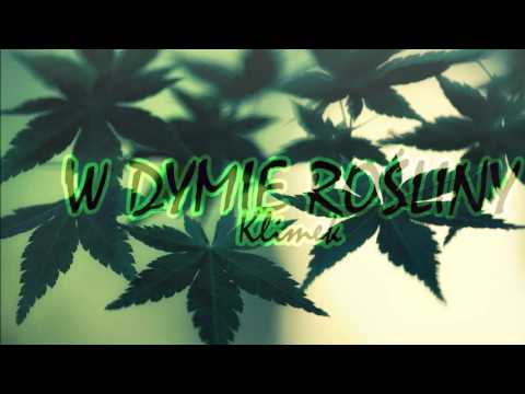 KlimeK - W dymie rośliny