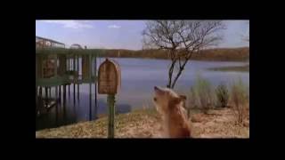 NAZARETH &quot; Games &quot;