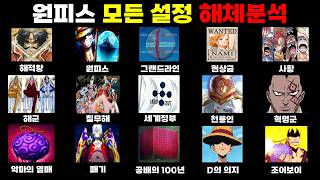 원피스의 모든 설정 해체분석 | 2026년 최신화 포함