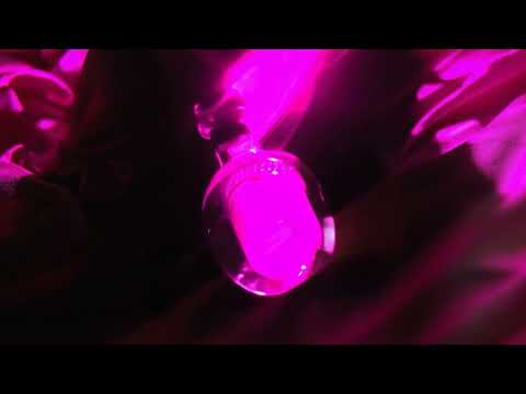 Galoski, Yaksa - Late Hours