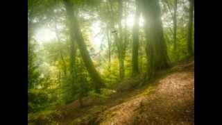 Love Never Dies - King Of Carrot Flowers, Pt. 1 (Neutral Milk Hotel Cover)