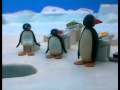 020 Pingu At School Mp4