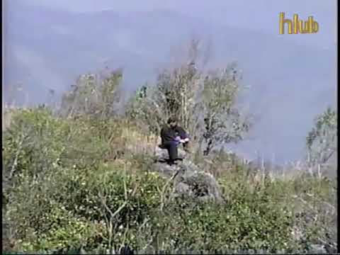 Lub neej tsis zoo los vim yog wb tsis txawj sib hlub!...