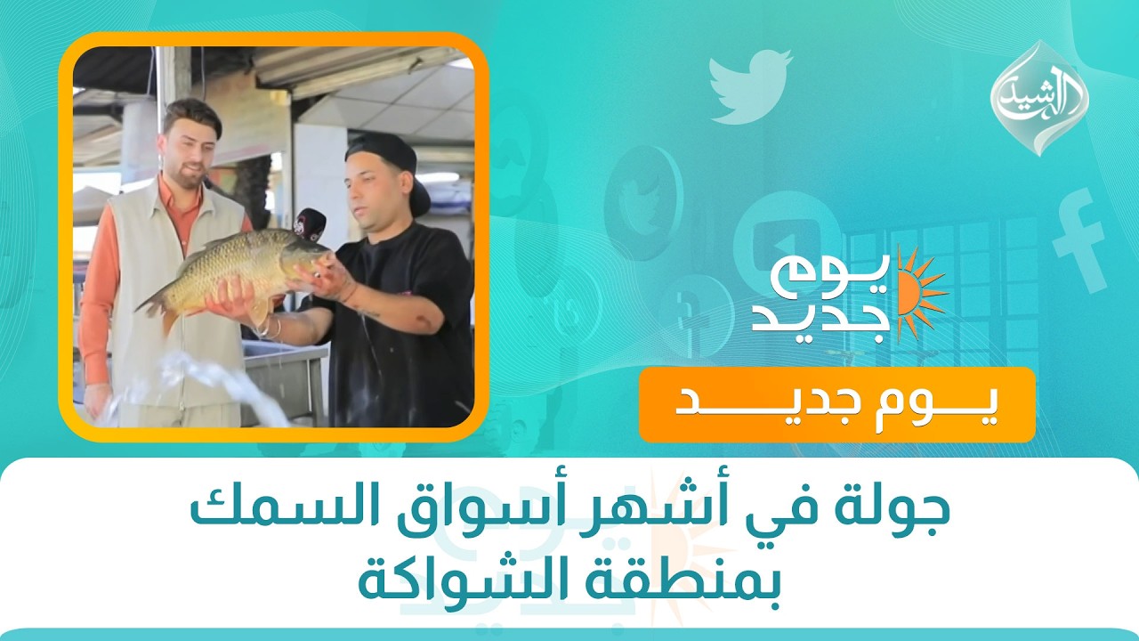 فيديو | جولة في أشهر أسواق السمك بمنطقة الشواكة