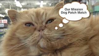 Dog Patch Mission Possible Commercial
