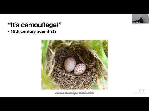 EI Seminar - Naomi Saphra - Interpreting Training