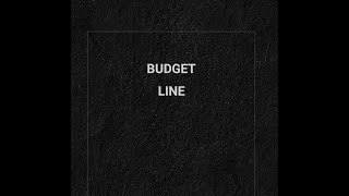 Economics tutorial on theory of consumer behaviour, budget line along with the notes, class 12.