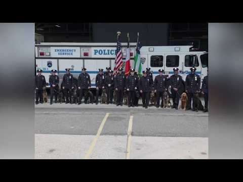 NYPD K9 Graduation