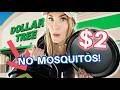 Dollar Tree Summer Hacks That Feel Like Rich People Secrets! 🤫😍