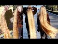RealRapunzels Blonde Rapunzel In The Park Preview