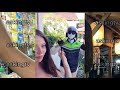 OJOL VS BULE BALI TERBARU 2026 LINK VIDEY CEK KOMENTAR