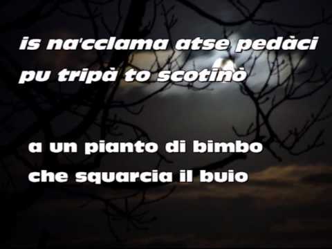 AVLEDDHA - calinitta