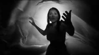 GARY NUMAN.   SPLINTER.