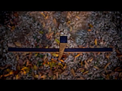 Dig Deeper Episode 62 - A Dirt Surgeon's Perspective on the 1607 Burial Ground