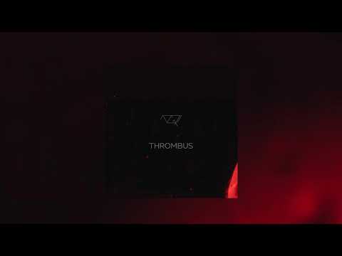 10GRI - Thrombus (Ambient | Chillout | Electronic)