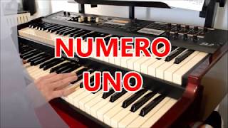 NUMERO UNO   ( BASSOTUBA53 -POOH )