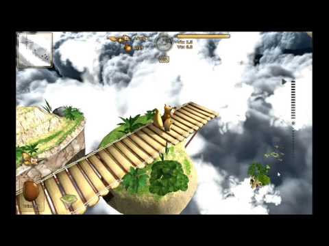 Crazy Flying Squirrel Video