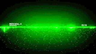 Apocalyptica - Path Vol. II [ PVP Music ]