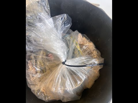 Don and Diane Shipley LIVE - June 23rd at 1800 EST Thumbnail