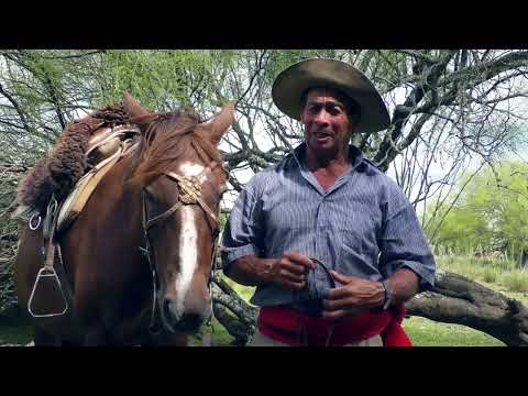 JULIO FRANCIA - Domador