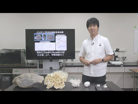 環境学科 公立鳥取環境大学　模擬授業「サンゴのひみつ」環境学部　徳田悠希