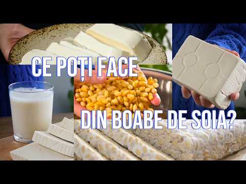 What can you make from soybeans? 5 essential dishes