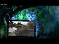 You Ve Been Framed Series 27 Episode 1 Unfinished Intro 2014
