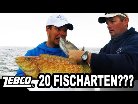 20 FISH SPECIES in one DAY - The madness of species fishing - Cornwall 3/3