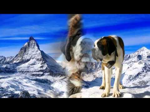 Heimat ist dort wo die Berge sind