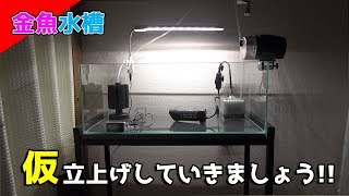 【金魚】職場水槽仮立上げ、さあさあどうなることやら