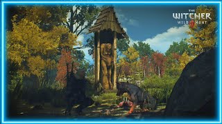 Witcher 3 rare quest A DOGS LIFE modded gameplay