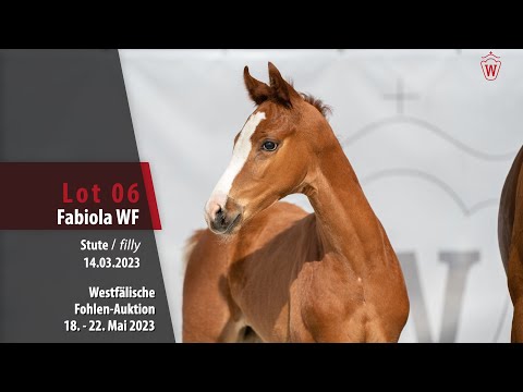 Online Auktion Lot 06 Fabiola WF Stute v. Farrell - Dancier