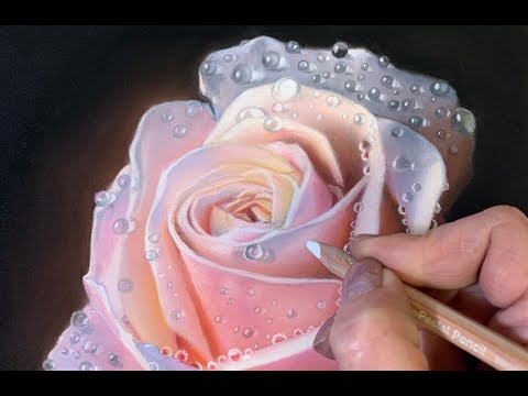 soft pastel painting of a realistic rose by carole rodrigue