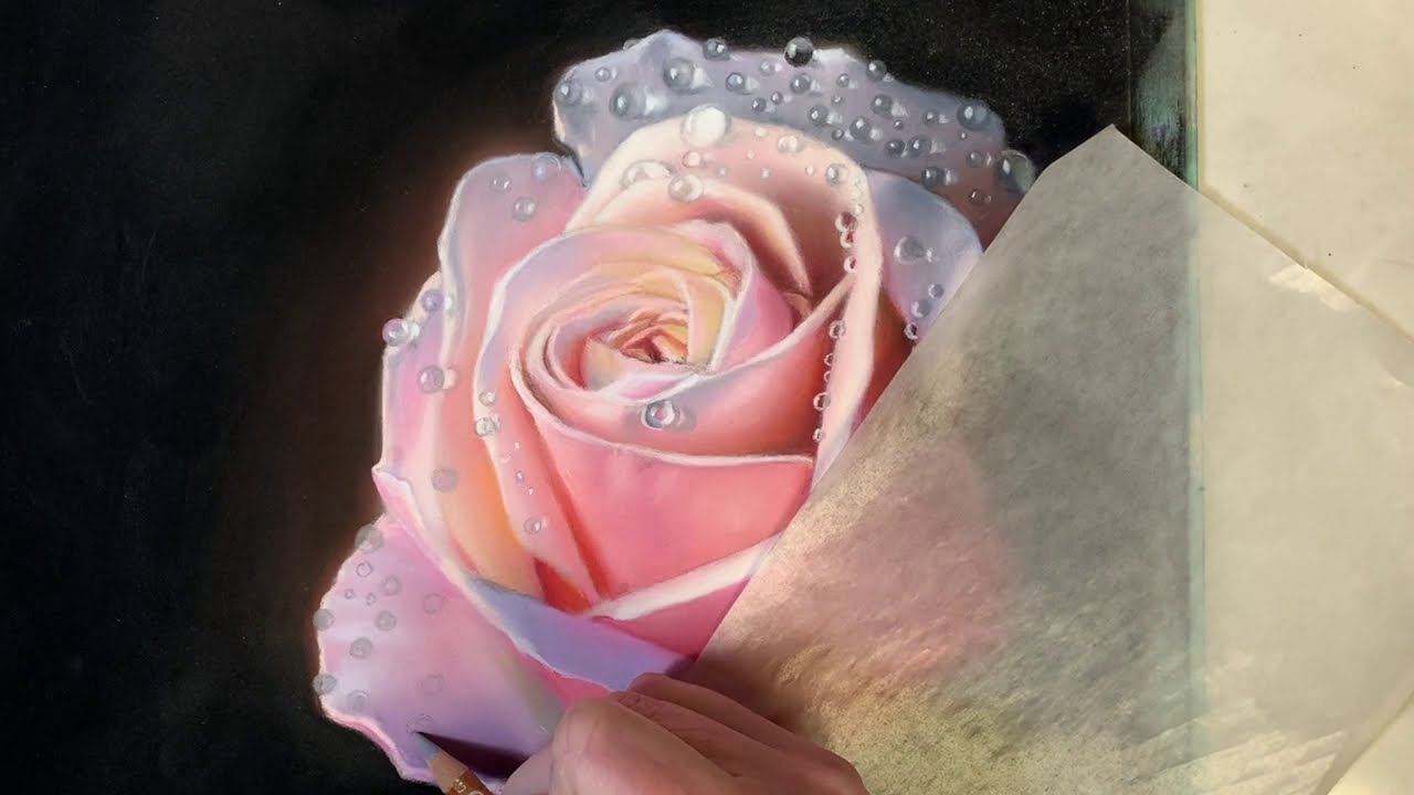 soft pastel painting of a realistic rose by carole rodrigue
